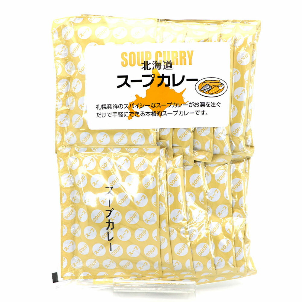 北海道 スープカレー 粉末 (D) 業務用 即席 15袋 (15杯分) スープカレー カレースープ 粉末 インスタント フリーズドライ北海道 スープ メール便 送料無料