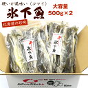 函館えさん昆布の会 こまい 氷下魚 【 北海道 珍味 本乾 】 1kg キロ (500g×2) 業務用 大容量 干物 おつまみ 干しこまい かんかい 送料無料