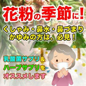 花粉・アレルギー特集