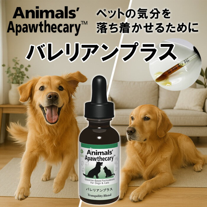 バレリアンプラス