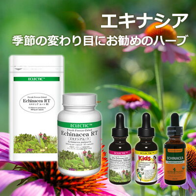 エキナシア