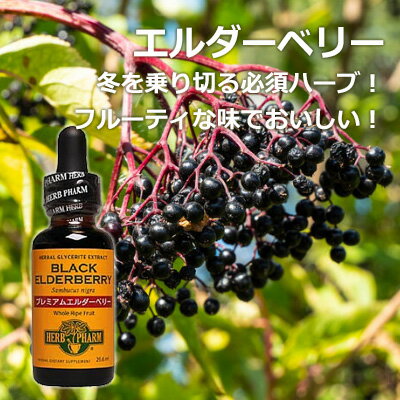 エルダーベリー