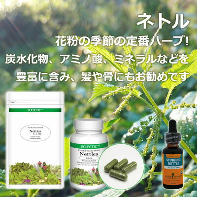 ネトル