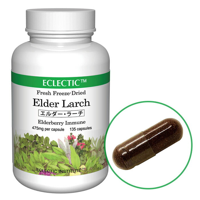 【P10倍】エルダー・ラーチ ブレンド FFD 475mg （45・90・135）カプセル ブレンドハーブサプリメント ECLECTIC エクレクティック