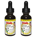 キッズ用 ネトル アイブライト チンキ 液体 1オンス 29.5ml 2個セット ECLECTIC Kids エクレクティック キッズ ハーブサプリメント