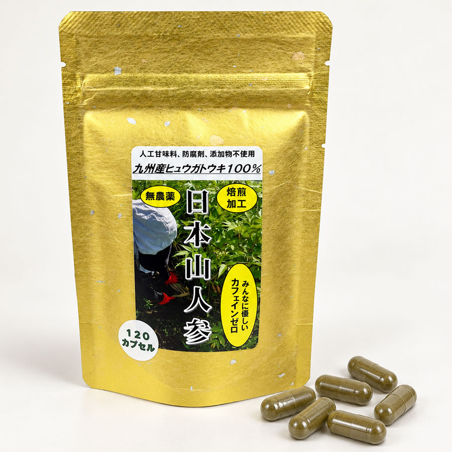 【P10倍】日本山人参 120カプセル 九州産ヒュウガトウキ 葉・茎…