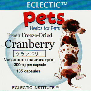 エクレクティック For Pets