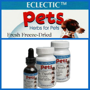 エクレクティック For Pets