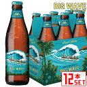 Information 品名 コナビール ビッグウェーブ ゴールデンエール 瓶 原語表記 KONA Beer BIGWAVE Golden Ale 内容量 355ml × 12本 タイプ ラガー 産地 アメリカ・ハワイ 商品説明 コナビール人気No.1アイテム「ビッグウェーブ」 KONA BREWING COMPANYが製造する 本格的麦芽100％のハワイNO.1地ビール。ボトルデザインもおしゃれだからハワイのみならず日本でも大人気の夏ビール全開です。 フルーティな柑橘系の爽やかな味わいでハワイを思わせる軽快な味わいはビールが苦手な方にもおすすめです。 備考 当店在庫切れの場合、ご注文から出荷まで3〜5営業日お時間をいただきます。お急ぎの場合などはお気軽にお問合せ下さい。＞ KONAビール　ビッグウェーブ　6本セット ＞ KONAビール　ビッグウェーブ　12本セット ＞ KONAビール　ビッグウェーブ　18本セット ＞ KONAビール　ビッグウェーブ　24本セット ＞ KONAビール　ビッグウェーブ缶　12本セット ＞ KONAビール　ビッグウェーブ缶　24本セット 　