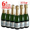 6本セット ドゥラモット ブリュット ハーフボトルドゥラモット（シャンパン）375ml