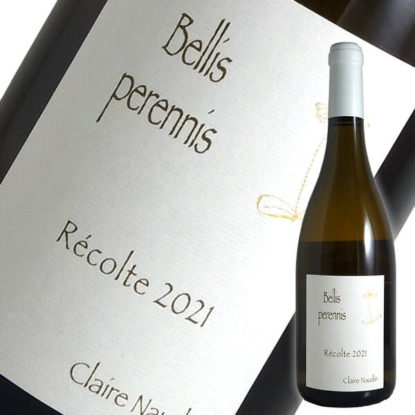 ֥르˥    ܡ ֥ ٥꡼ ڥ˥å[2021] Ρ ե磻