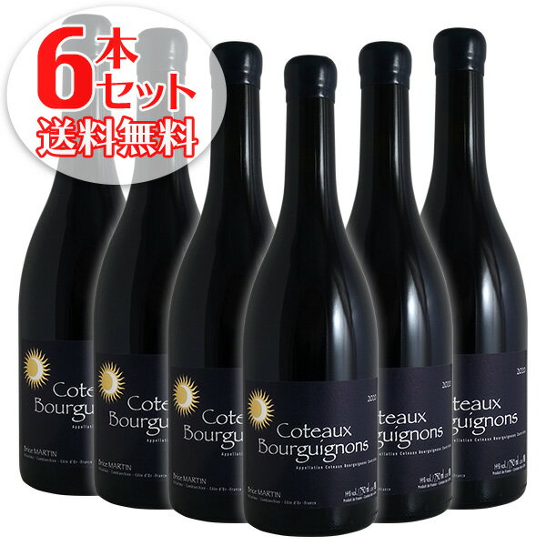 乐天商城 - 【送料無料】6本セット コトー ブルギニョン ルージュ[2021]ブリス マルタン（赤ワイン）