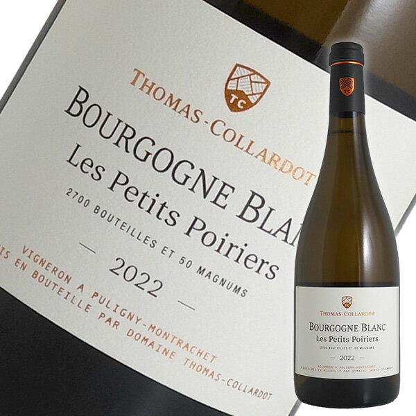 �֥르���˥� ������ �ɡ��� �֥�� �� �ץƥ� �ݥ�ꥨ[2022]�ȥ� �����ɡ���磻�� �֥르���˥��