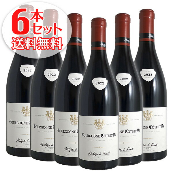 ̵6ܥå ֥르˥  ɡ 롼[2022]եå  ǥ֥磻