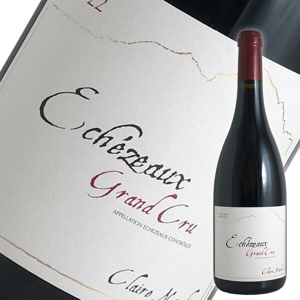 ���������� ����󥯥�� [2022]����� �Ρ����� �ե������֥磻�� �֥르���˥��