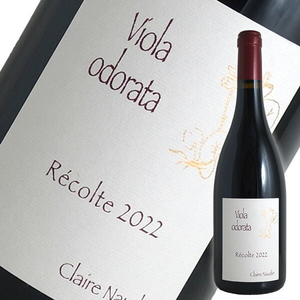   ˥奤 顼  ɥ饿[2022] Ρ ե֥磻 ֥르˥