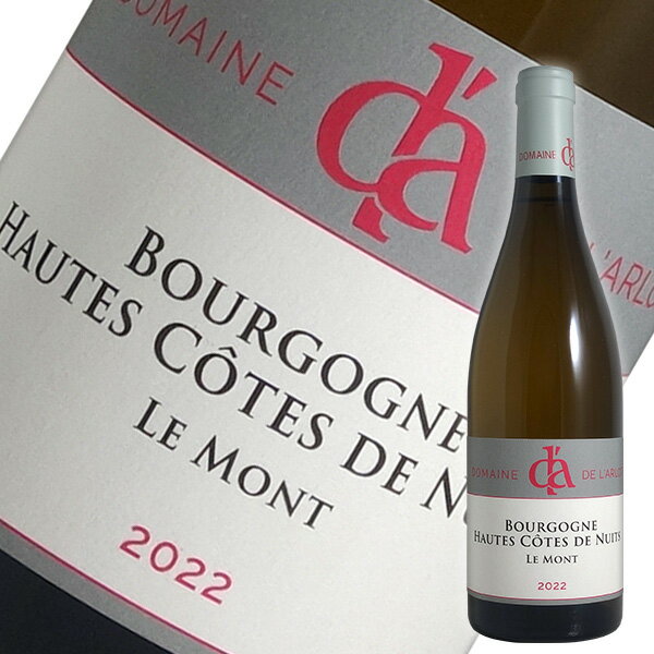    ˥奤 ֥  [2022]磻 ֥르˥