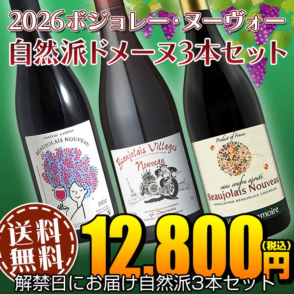 【送料無料】ボジョレーヌーヴォー2026自然派ドメーヌ3本セット（赤ワイン ブルゴーニュ） escargotwine-10006952 ワインセラー エスカルゴ サンプル画像2