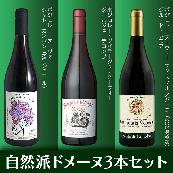 【送料無料】ボジョレーヌーヴォー2026自然派ドメーヌ3本セット（赤ワイン ブルゴーニュ） escargotwine-10006952 ワインセラー エスカルゴ サンプル画像3