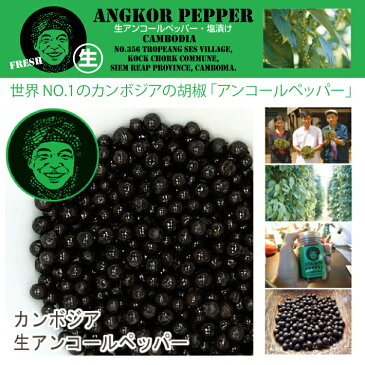 生アンコールペッパー 15g【カンボジア ペッパー/胡椒/コショウ/こしょう/生胡椒/生コショウ/生こしょう/ブラックペッパー/黒胡椒/黒コショウ/黒こしょう/フェアトレード/フォレストジャパン】