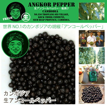 生アンコールペッパー 100g【メール便送料無料】【カンボジア ペッパー/胡椒/コショウ/こしょう/生胡椒/生コショウ/生こしょう/ブラックペッパー/黒胡椒/黒コショウ/黒こしょう/フェアトレード/フォレストジャパン】