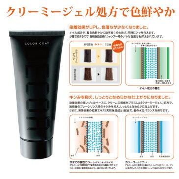 イリヤ カラーコート デコレ160g×2本セット【同色2本 カラーコートデコレ】【送料無料】