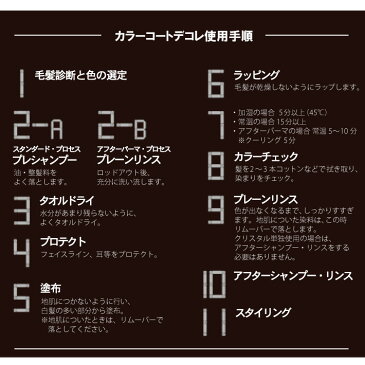 イリヤ カラーコート デコレ160g×2本セット【同色2本 カラーコートデコレ】【送料無料】