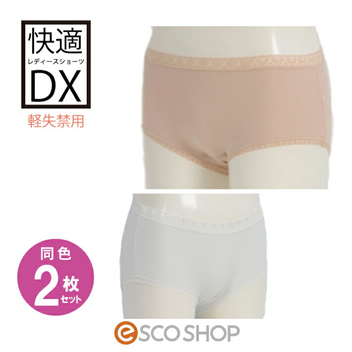 (同色2枚セット)快適ショーツDX 女性用・軽失禁ショーツ 尿漏れ パンツ トイレ補助用品 メール便 送料無料 代引不可 ギフト プレゼント