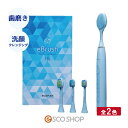 ROAMAN eBrush 音波電動歯ブラシ T10 全2色 ブルー ピンク 洗顔クレンジング ブラッシング ウェルビーイングテクノロジー Well-being 送料無料