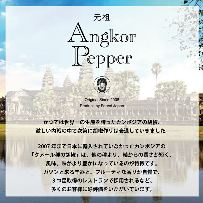 �����󥳡���ڥåѡ� �ڡ����� 85g ���塼�� ����̵����ܥ �����祦 �����礦 ����ܥ��� �ե����ȥ졼�� �ե��쥹�ȥ���ѥ� ����Բ� �᡼����ľ�� �ڥ��󥳡���ڥåѡ��Τ�Ʊ���ġ�