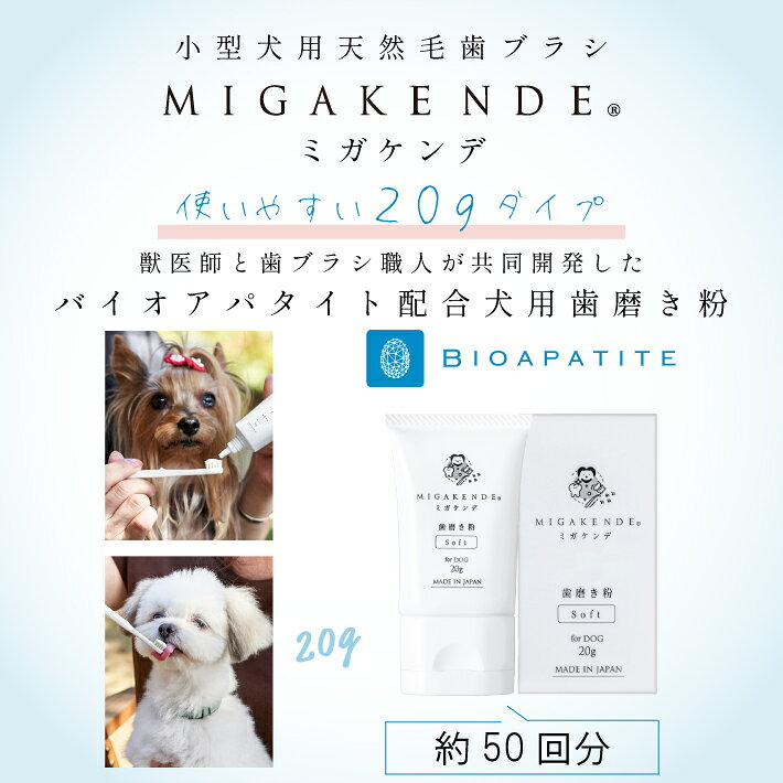 ESCO SHOPのMIGAKENDE ミガケンデ 歯磨き粉 for DOG 20g オーラルケア 歯石 黄ばみ 歯磨き 無添加 研磨剤不使用 犬 (メール便送料無料)｜アングル2