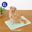 Bonbi ボンビアルコン しつけるトレー XL メッシュタイプ 犬用 中型犬用 大型犬用 トイレ トイレ用品 メッシュ いたずら防止 マナー しつけ ボンビ 送料無料