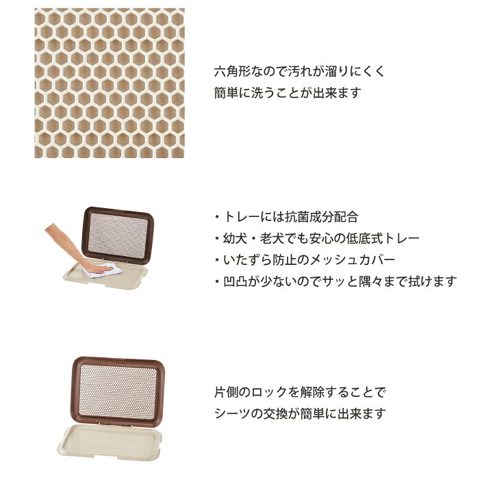 サンプル画像3