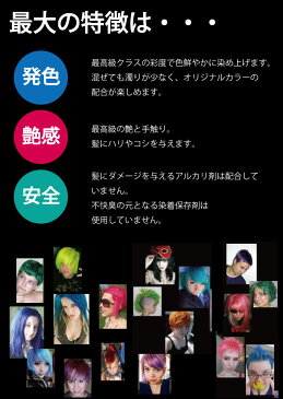 MANIC PANICマニックパニック ディープパープルドリーム(Deep Purple Dream)【ヘアカラー 毛染め 髪染め 発色 艶色 安全 118ml 紫 MC11048】【メール便送料無料】【代引不可】【同梱不可】【ハロウィン】