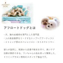 BASICS DermCare 低刺激シャンプー 業務用 1kgBASICS 犬用 送料無料 2