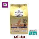 ウェルネス ヘルシーバランス 室内猫用(1歳以上) 骨抜きチキン 1.2kg(400g×3袋)成猫用 キャットフード プレミアムフード ドライフード アダルト ...
