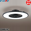 オーデリック LED シーリングファンライト 8畳 DCモーター OL291275BR 薄型 オゾン発生 調光調色 おしゃれ 首振り 空気循環 照明 「送料無料」