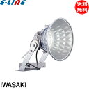 岩崎電気 LED 投光器 中角タイプ 屋外 防水 E30431M/NSAN9 65Wタイプ E30421M/NSAN8の後継 レディオック フラッド スポラート...