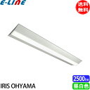 uvACXI[} IREL-LX3-170-25N-CL40W LEDx[XCg pƖ[dr] txm` 230mm 2500[ F 5000K