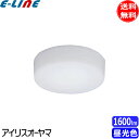 アイリスオーヤマ SCL16D-MCHL LED小型シーリングライト メタルサーキット 1600lm 昼光色 SCL16DMCHL「送料無料」