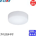 アイリスオーヤマ SCL20D-MCHL LED小型シーリングライト メタルサーキット 2000lm 昼光色 SCL20DMCHL「送料無料」