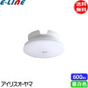 アイリスオーヤマ SCL6NMS-UU LED小型シーリングライト 薄形 人感センサー付 600lm 昼白色 SCL6NMSUU「送料無料」