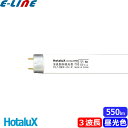 ホタルクス FL10EX-D-X2 ライフルックHGX 3波長形昼光色(クール色) 10ワット ひときわ明るい (FL10EXDZ)(FL10EXDTT) FL...