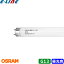 OSRAM  ľɥָ FL20SD G13 20å 6,500K ָ (D) Ŭ祰FG1E/FG1P ֶʬB