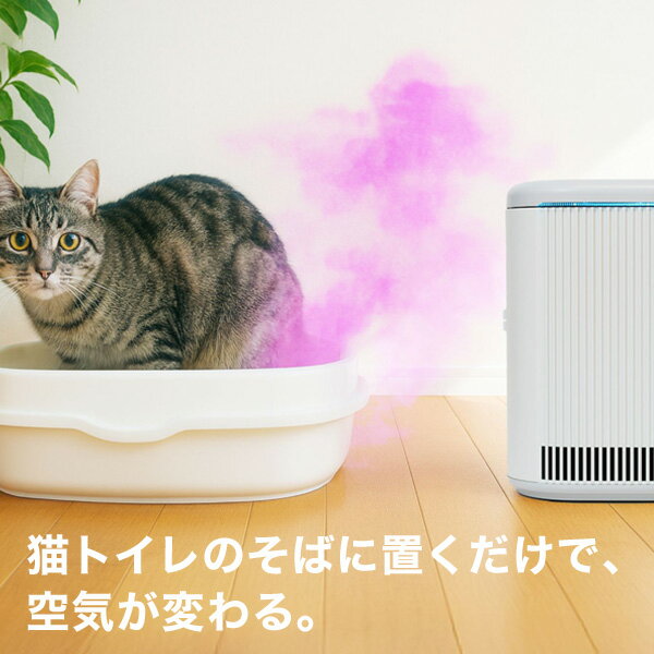 �ޥ����ե����� �ե����� MC-S311C �ͥ��� �ȥ���æ���� �֥롼�ǥ�S �����ݤ�æ�� 10���б� MCS311C ������̵����