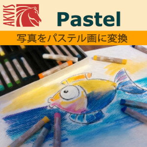 AKVIS Pastel は写真をパステル画調に変換します。 パステルは、絵画とスケッチの中間ともいえるかもしれません。 パステル チョークや粉末顔料を使うと、淡いエッジとソフトで滑らかなストロークを描くことができ、ストロークを指でこすってぼかすこともできます。 パステルで描画するには、粉末が落ちないようにするため、粗いテクスチャが必要です。 パステル技術の特徴は、きらきら光る深くて鮮やかな色と柔らかいテクスチャです。 油絵や水彩画とは異なり、パステル顔料は画面全体に広がることはありません。 ストロークの隙間からは用紙が顔を出し、表現力に富む生き生きとした絵になります。 【 ダウンロードファイルサイズ：123,179 KB 】