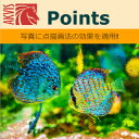 【35分でお届け】AKVIS Points Home プラグイン v.6.0【shareEDGEプロジェクト】【ダウンロード版】