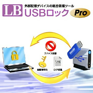 【35分でお届け】LB USBロック Pro 【ライフボート】【Lifeboat】【ダウンロード版】