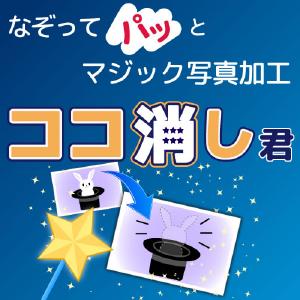 【35分でお届け】ココ消し君 【メディアナビ】【Media Navi】【ダウンロード版】