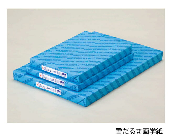 【直送品・代引き不可】【保育園・学校用紙及び器材】画用紙/特厚196.8g(雪だるま画学紙)8切・100枚